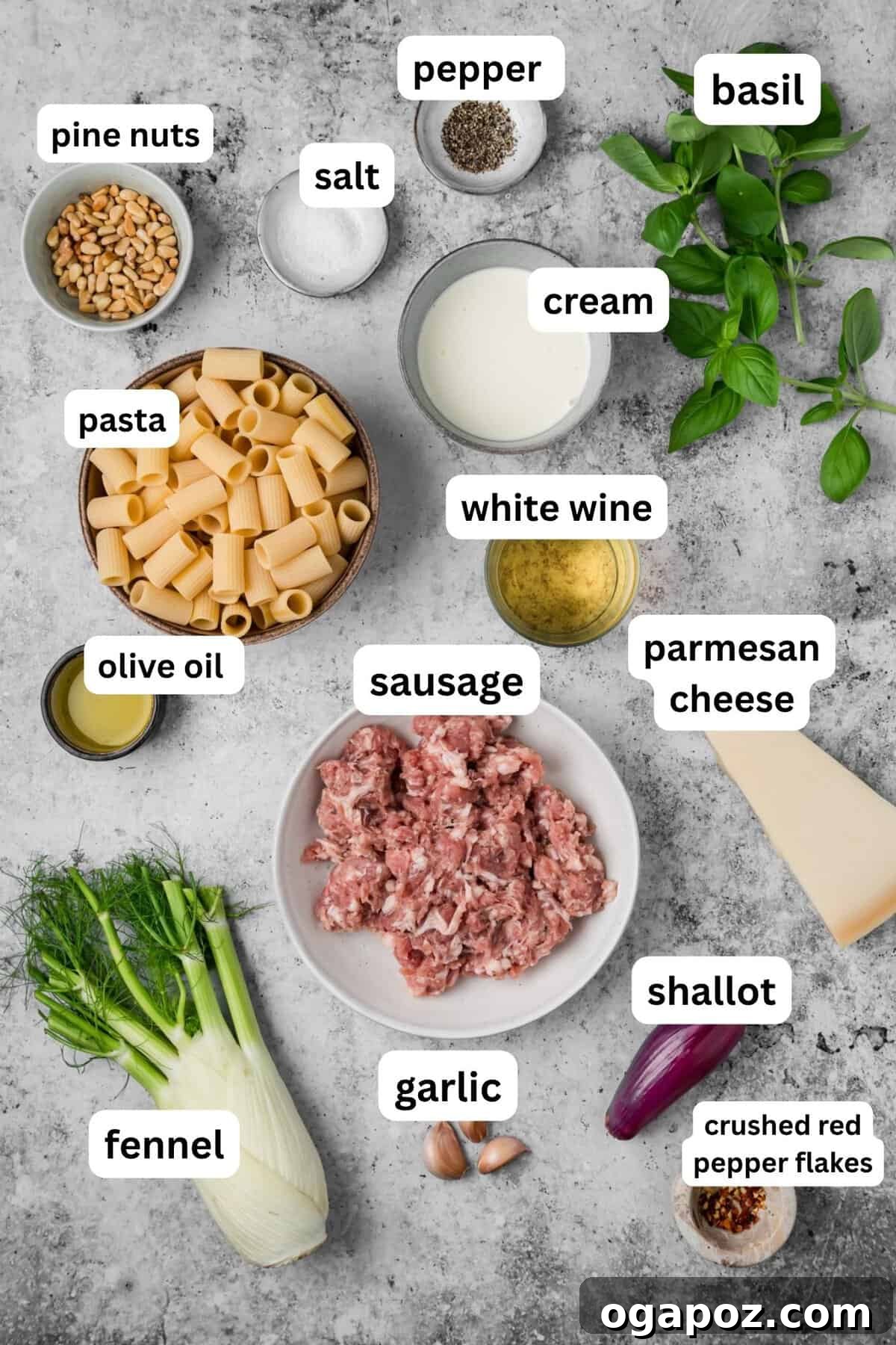 Creamy Italian Sausage and Fennel Pasta with Parmesan 5 Sausage and Fennel Pasta recipe ingredients