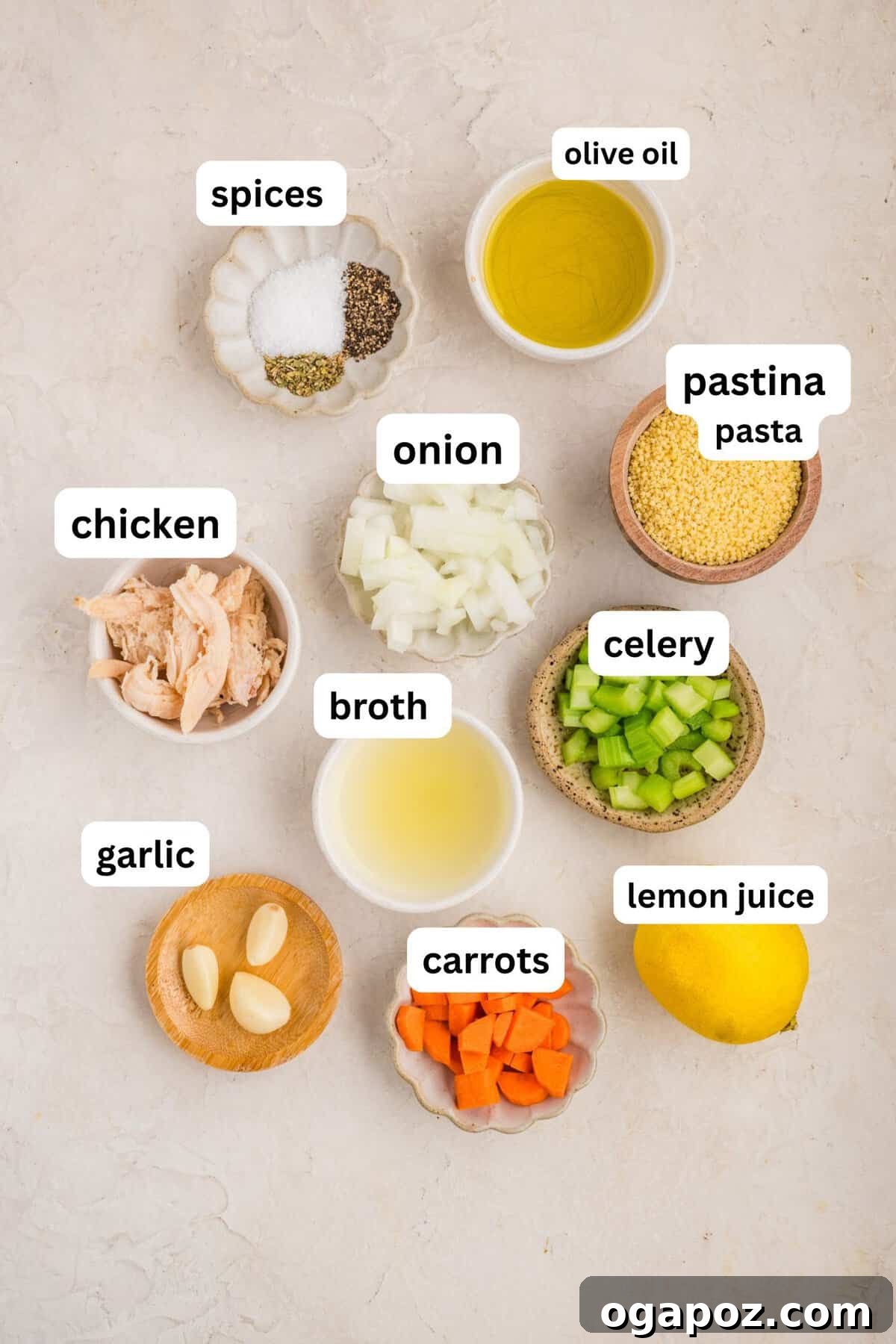 Recipe Ingredients for Chicken Pastina SOup 